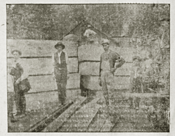 Knoxville Sentinel, May 21, 1902